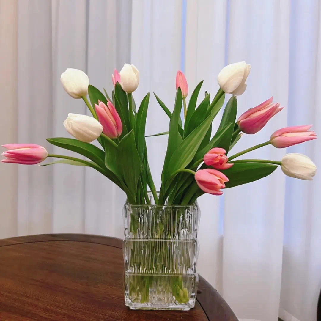 家人们早上好！3月8日，珍姐财经早报准时送达！先看咱们国内，民生这块儿直接拉满！