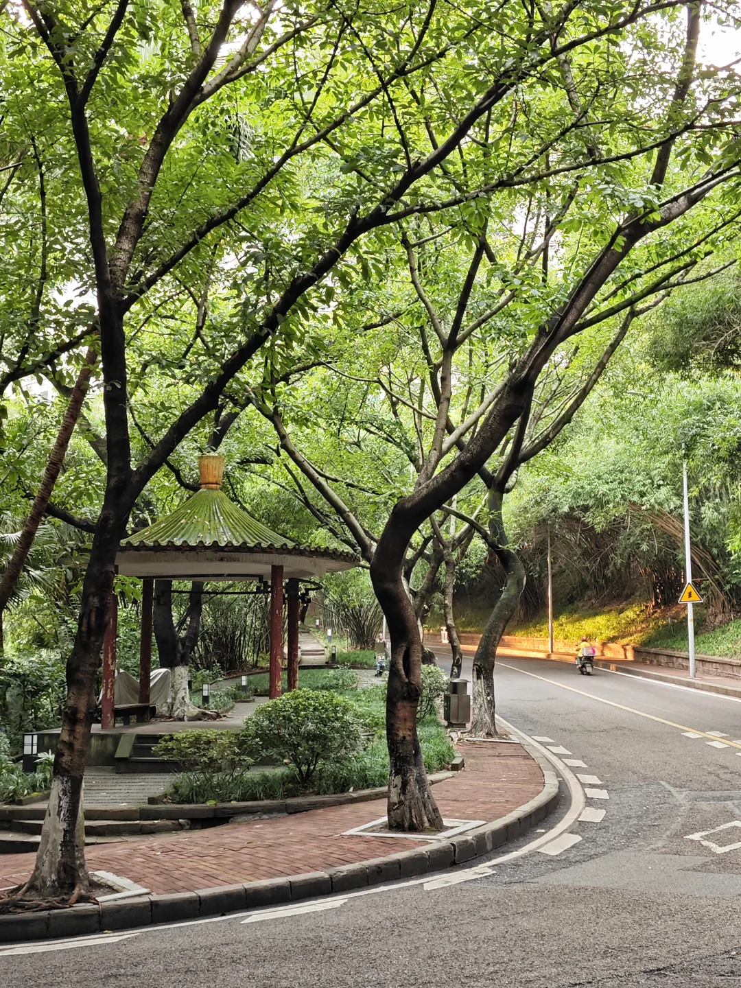 重庆富二代的英雄人生(citywalk374)