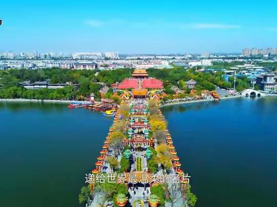一朵汴菊，穿越千年！花已开好，快来赴这场花事之约！#开封 #开封菊花文化节 #开封菊花 #开封文旅