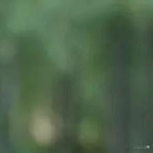 《仙剑4》毛晓慧饰演柳梦璃，被指太丑心态崩溃连夜回应，引发热议 ​​​
