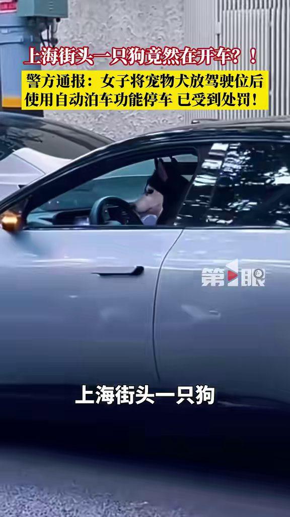 上海，一名38岁女子为了吸引关注，竟把宠物犬单独放在汽车驾驶位上，再使用自动泊车