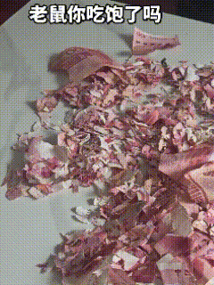 “肠子都悔青了！”云南昭通，男子回家翻出藏钱的塑料桶，刚一打开，当场腿软手抖，眼