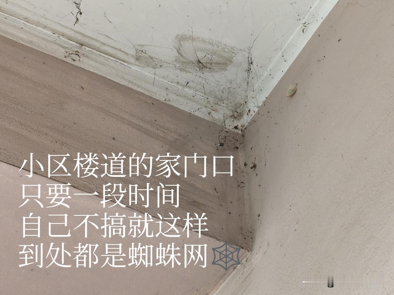 南京有的高层保障房物业费怎么好意思收的
南京高层保障房有的小区最好的只能收到70