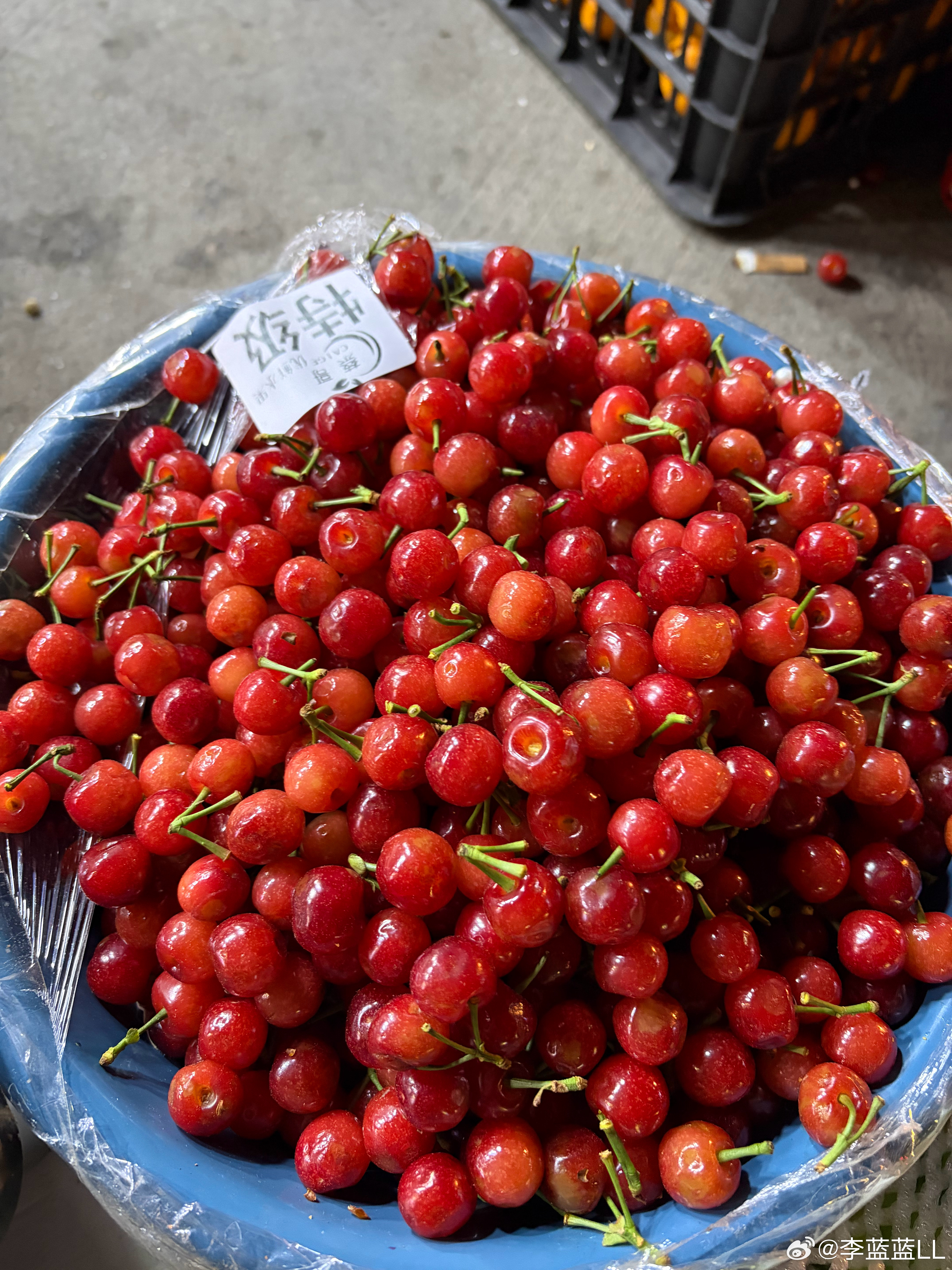 我可太爱云南了！太多好吃的水果了！而且价格巨划算！小杨梅、小蓝莓、小樱桃，每一口