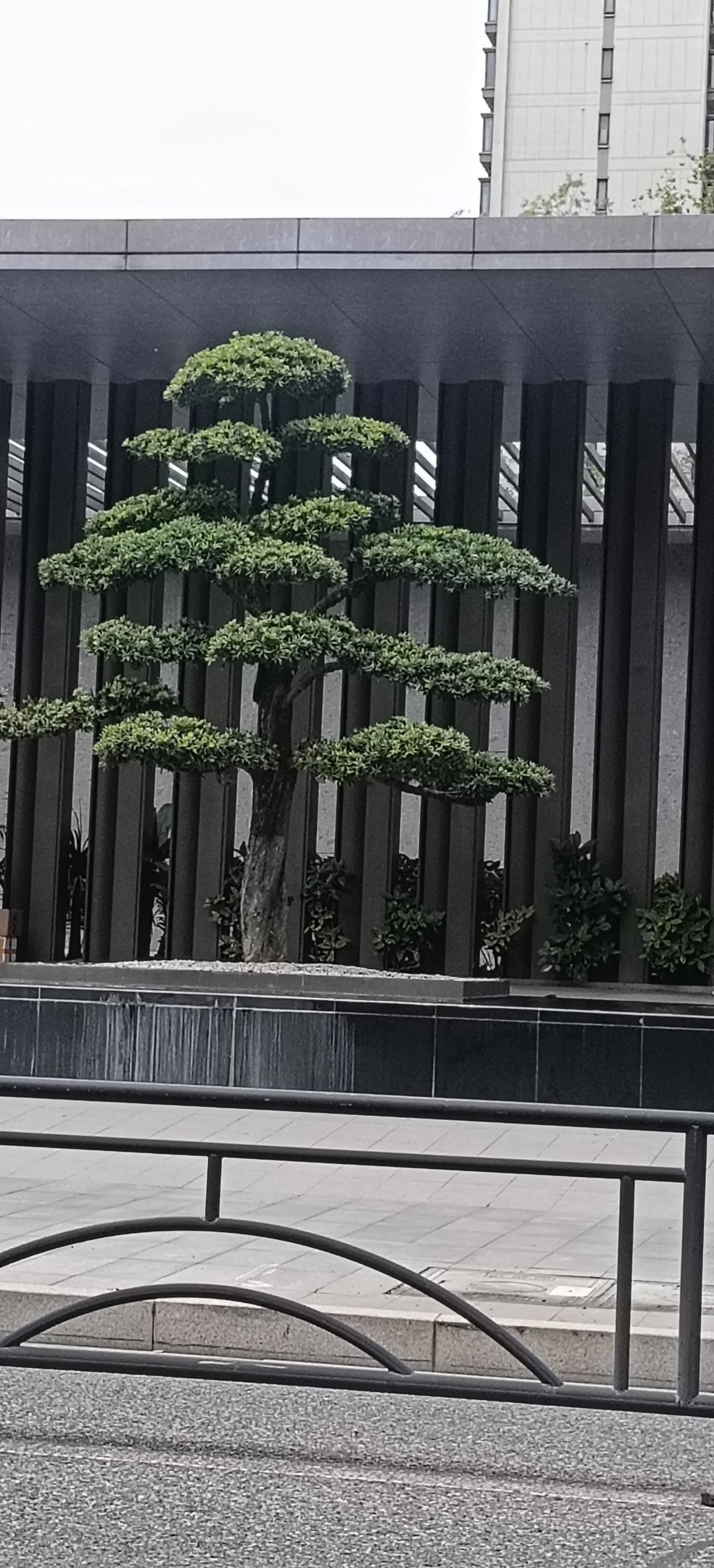上联：年年顺顺利利
诚邀各位才子佳人来对下联，愿大家岁岁安康，万事称心，期待佳作