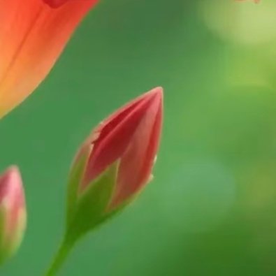 森林驿站 慢一点没关系，只要方向不偏；累一点没关系，只要脚步不歇。走下去，路就会