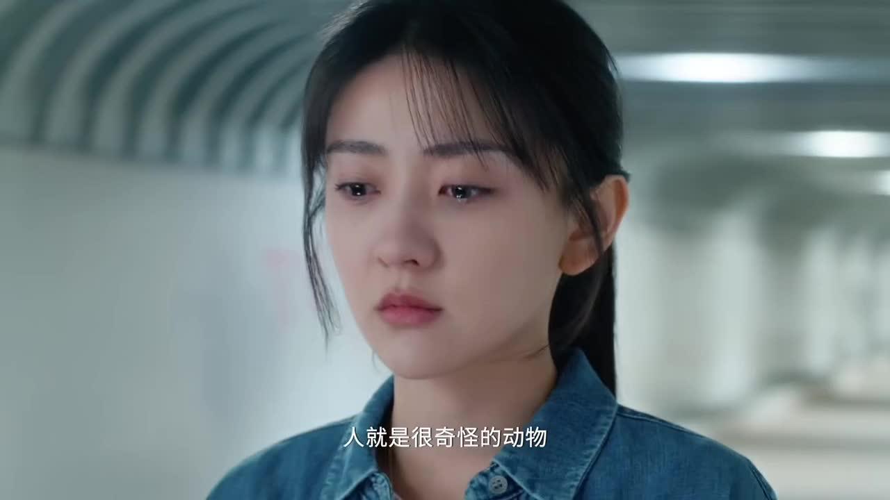 都是彼此的救赎和依赖陈哲远