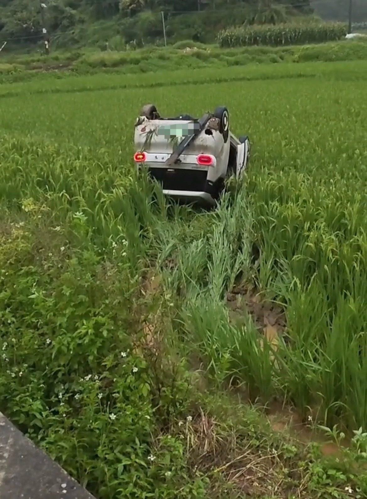 【玉林雨天新能源小车撞翻朝天在苍院禾田】6月18日，玉林暴雨天气，一辆新能源小车