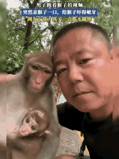 贵州一个大哥抱着自家养的猴子拍视频，气氛本来挺温馨的，结果他毫无预兆地凑上去亲了