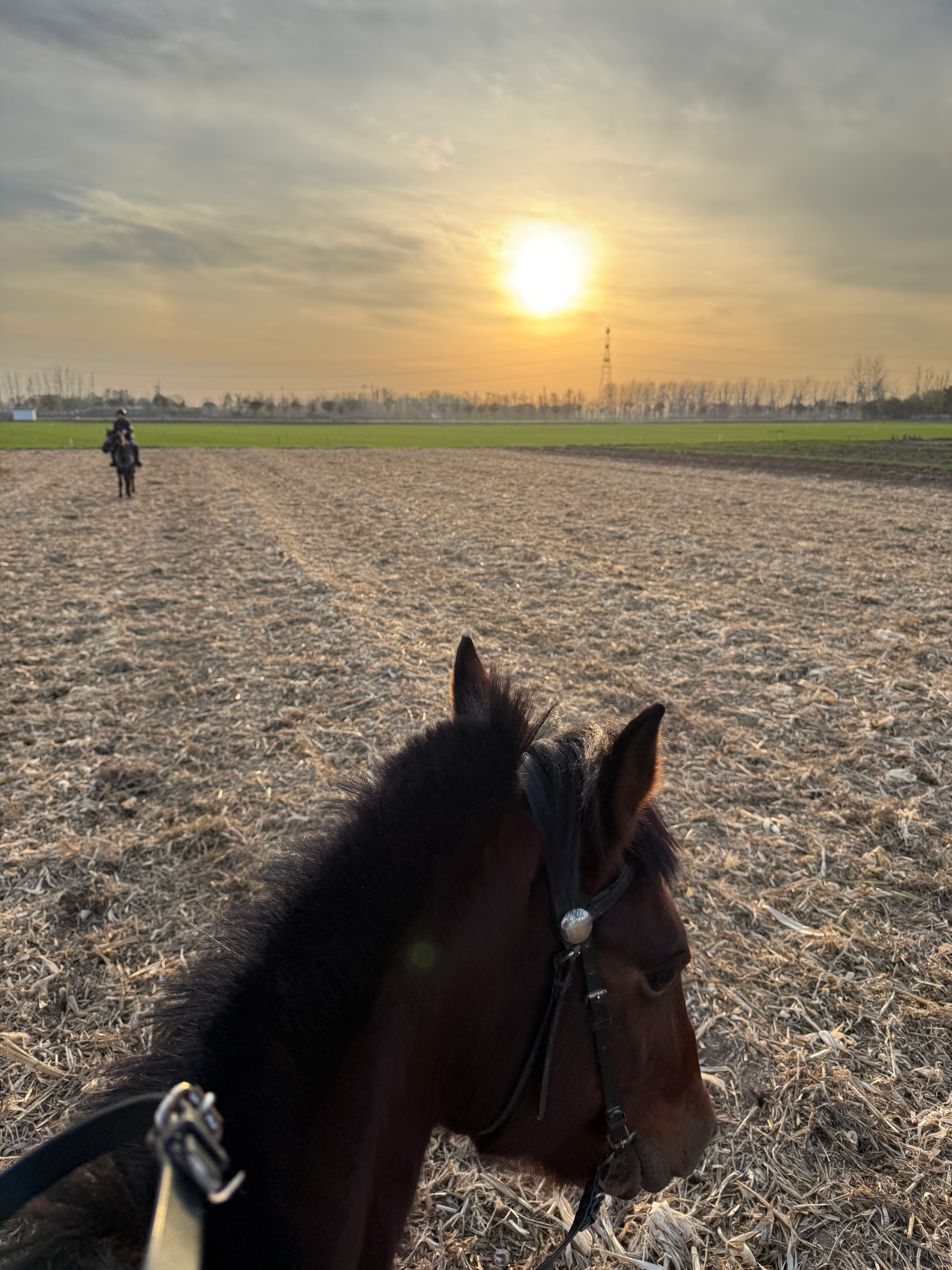 【纽北轻量化计划二周目14/50】【79.9/80KG】这几天拍摄有点忙，没去健