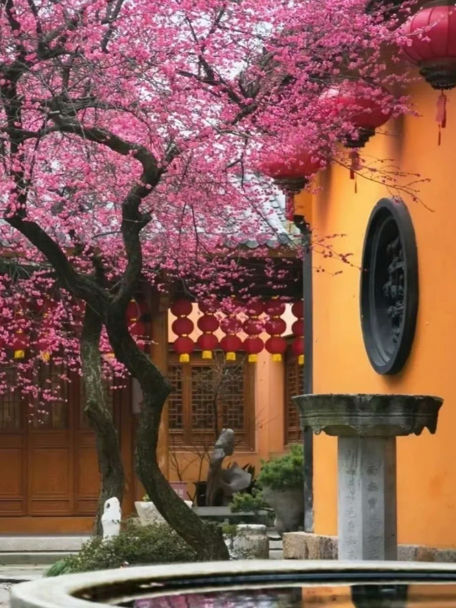 墙，推倒了就是门；心，敞开了就是路。路不通时，要学会选择拐弯，心不快时，要选择看
