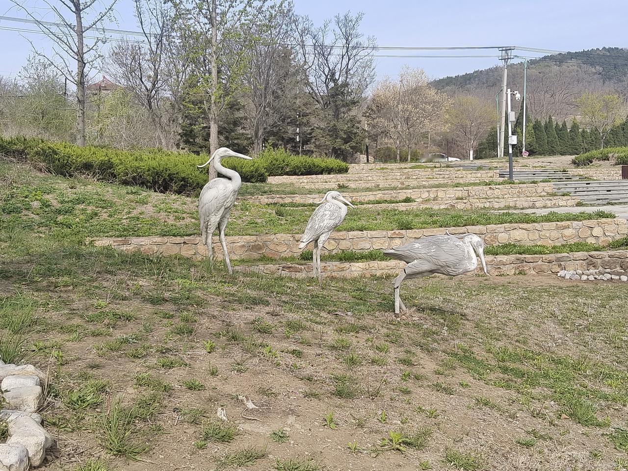 展示你拍的树木照片
