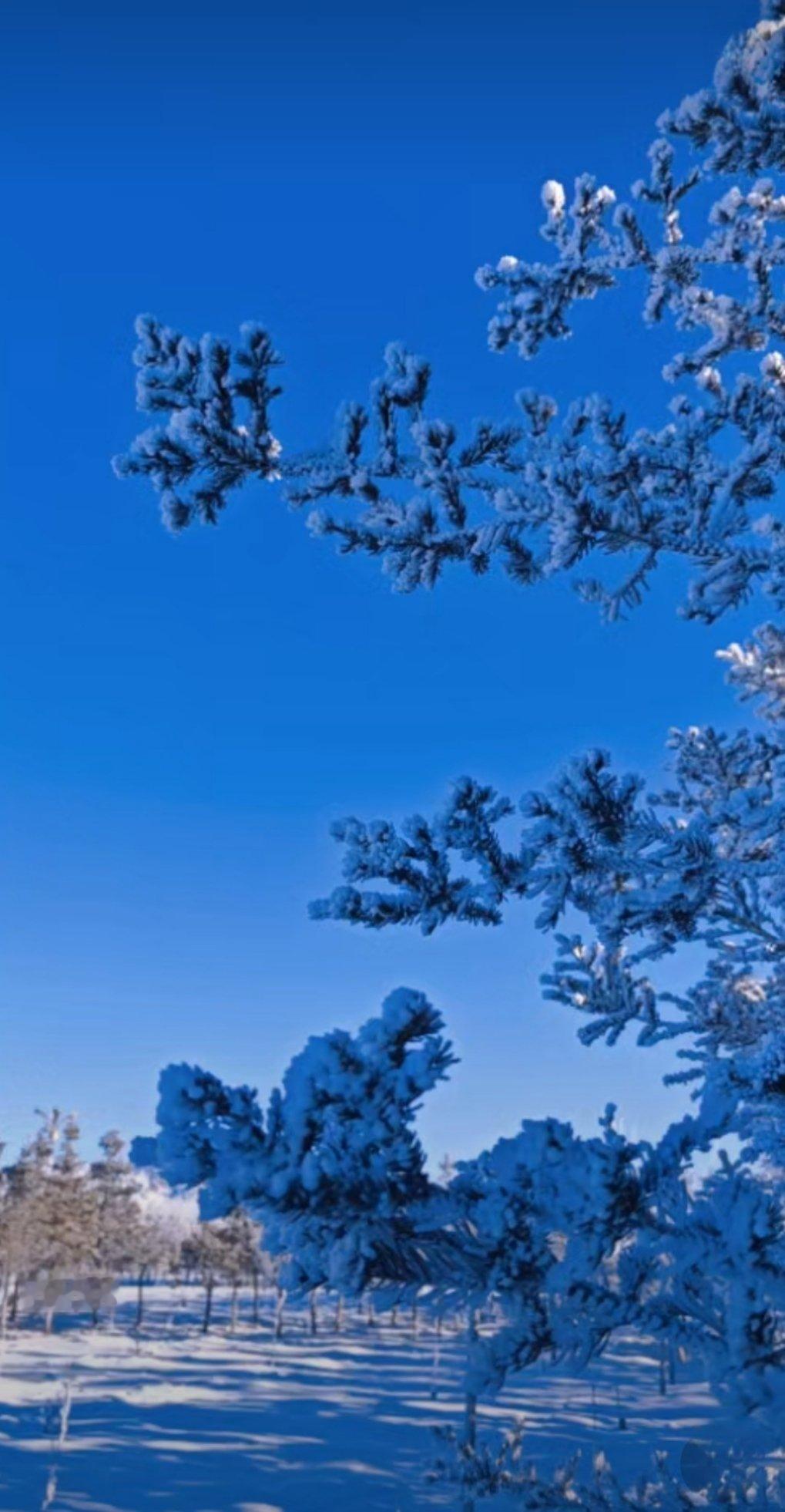 群居不倚，独立不惧。——苏轼《墨君堂记》