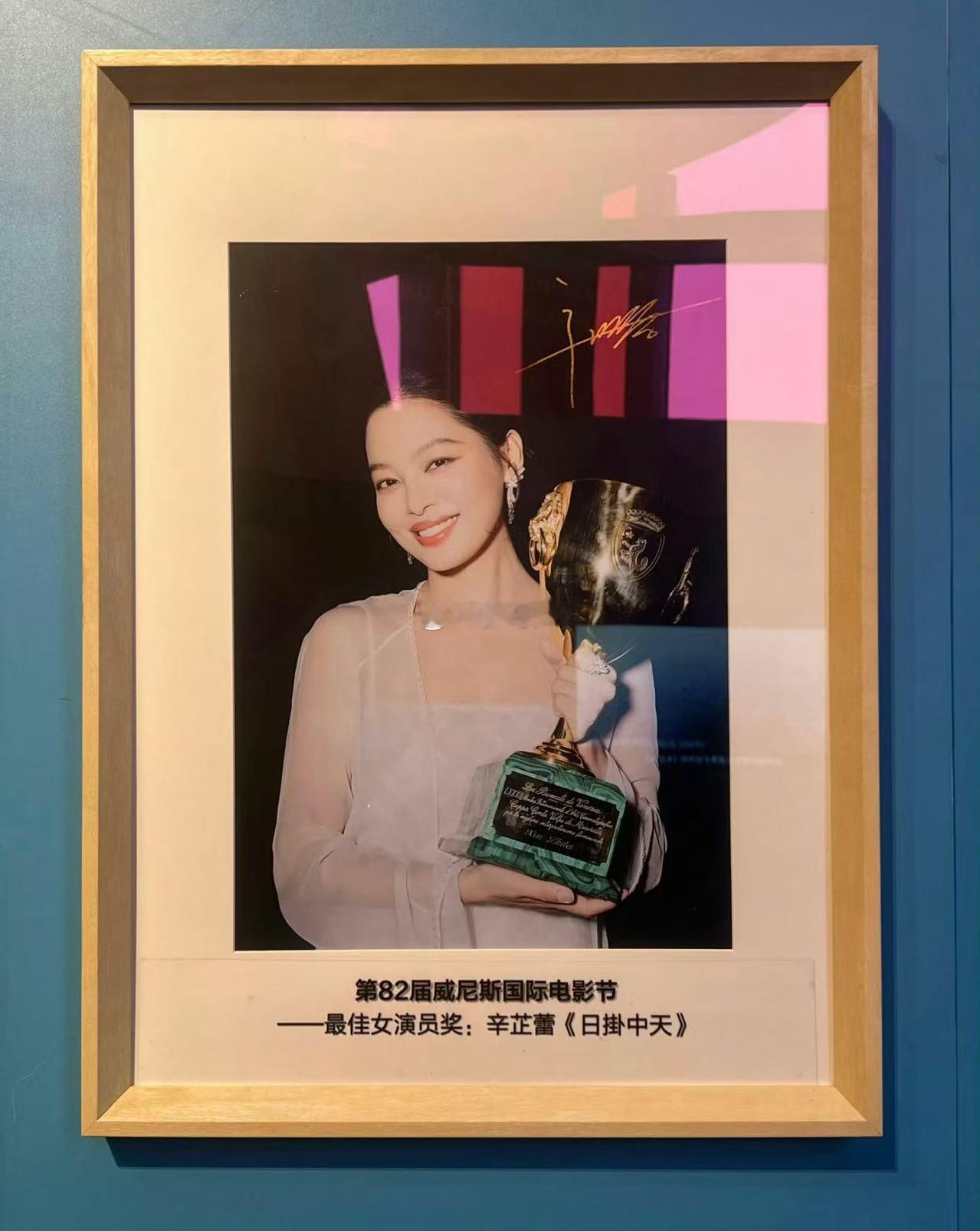 辛芷蕾人民画报正刊封面 威尼斯影后桂冠闪耀，十四年等待终迎回响。人民画报封面上，