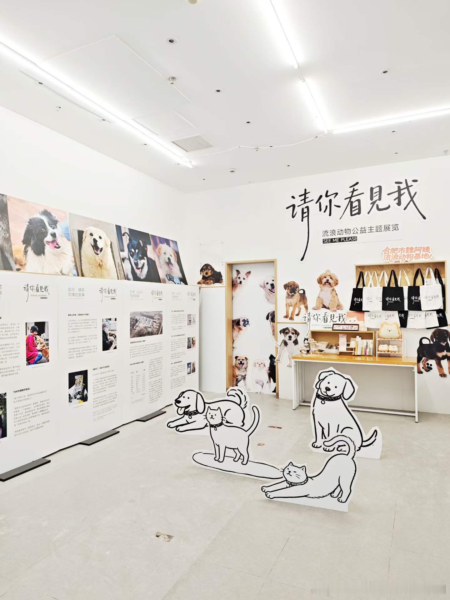 感谢北京华联购物中心合肥蒙城路店的邀请，我们将「请你看见我 SEE ME PLE