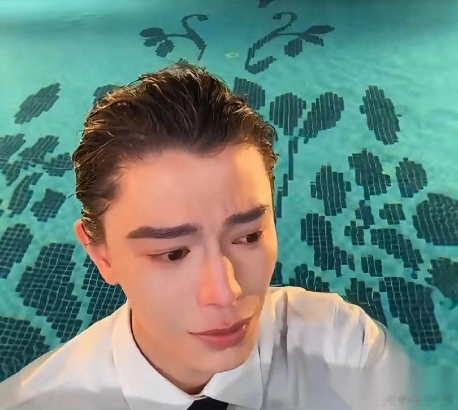 看到丁禹兮在泳池直播时大哭，才明白《南部档案》对他真的很重要。 这部电视剧有原著