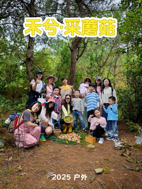 大理民宿，今天带小朋友采蘑菇🍄‍🟫免费‼️