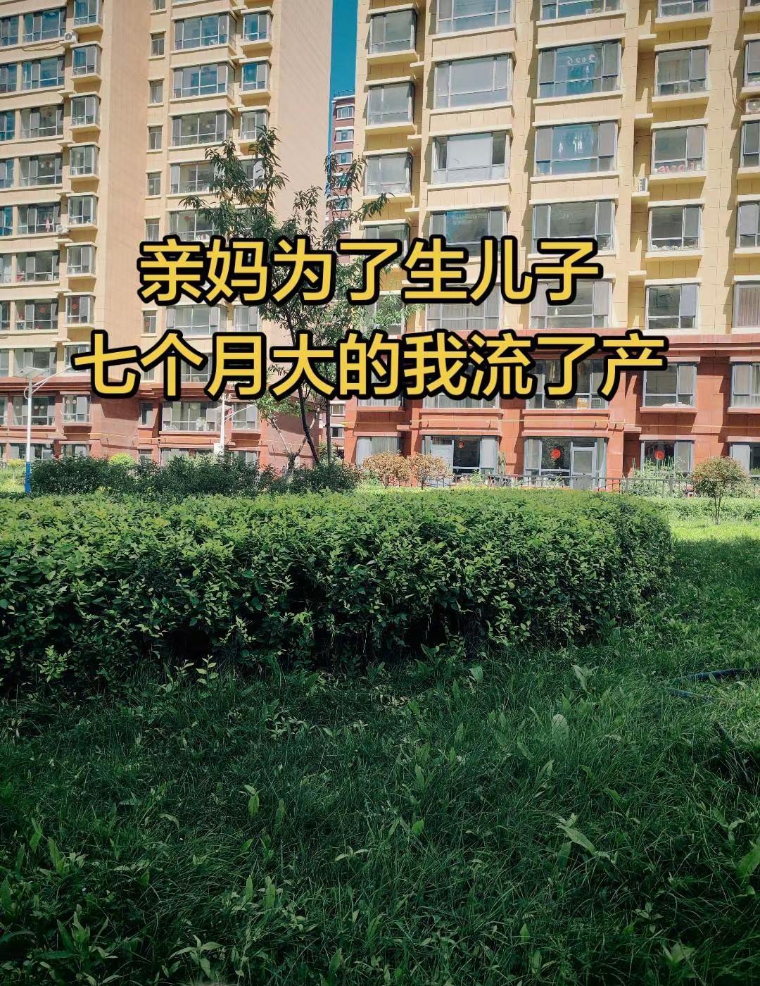 会当凌绝顶，一览众山小！国乒男团3:0横扫日本夺得伦敦世乒赛团体冠军，取得12连