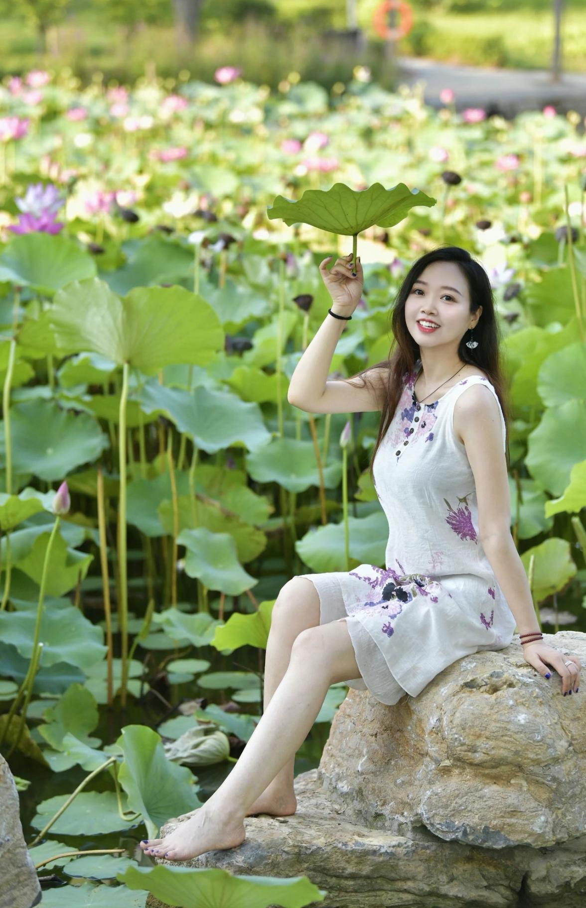 夏日荷塘仙子，轻盈漫步在碧波之上