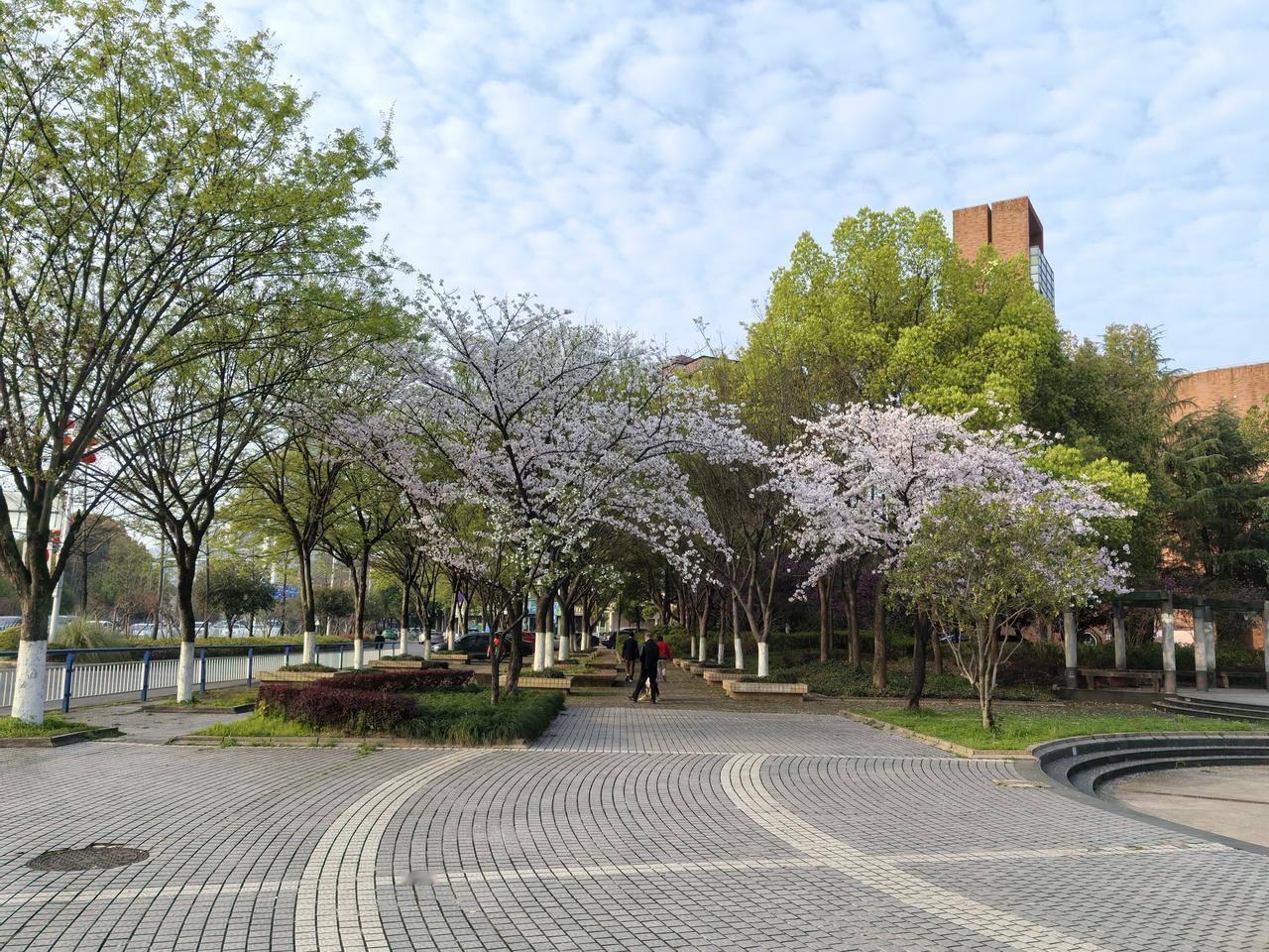 假日经济对当地居民生活的影响那可真是一把双刃剑。
好的方面，假日期间游客增多，带