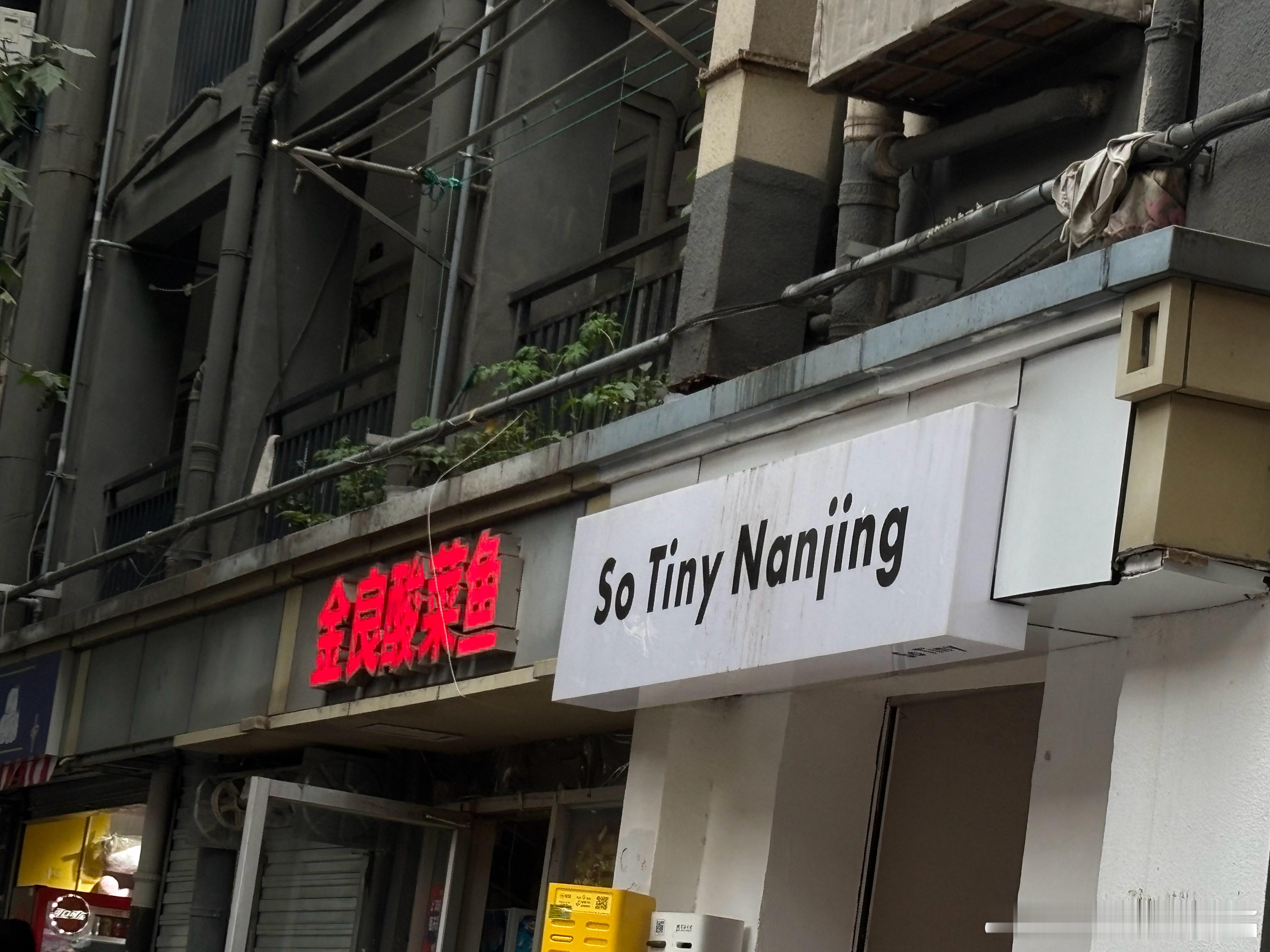 分享图片 ​​​