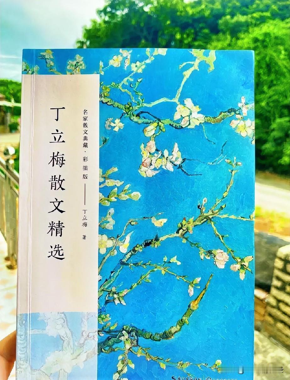 近来偏爱读丁立梅的文字，她的笔墨从不写遥远的山海与盛大的传奇，只深深扎根在触手可