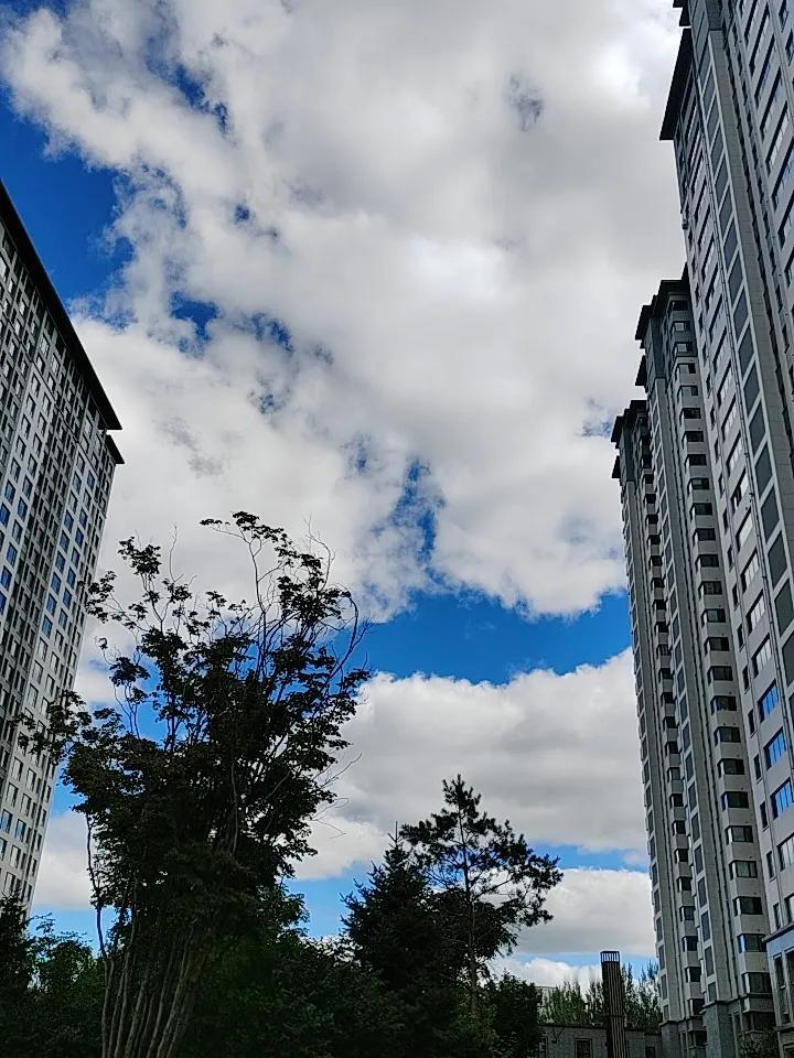 蓝蓝的天空，白云飘，白云下面没有马儿跑[捂脸]