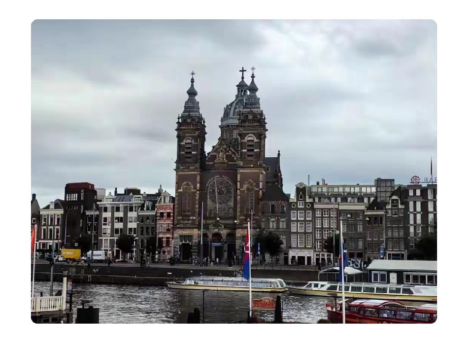 荷兰这是铁了心要“痛下杀手”全面反华啊！2026年2月11日，荷兰阿姆斯特丹上诉