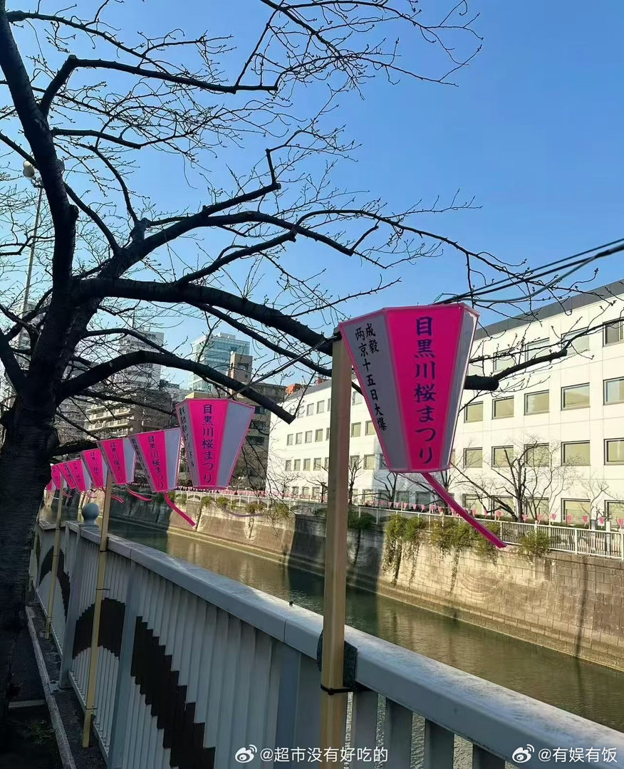 成毅两京十五日外国粉丝应援成毅新剧外国粉丝应援成毅两京十五日外国粉丝应援，挺好挺