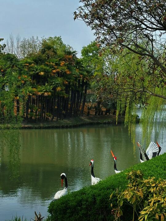 🌿上海踏青小众秘境！假装在欧洲唐顿庄园📸