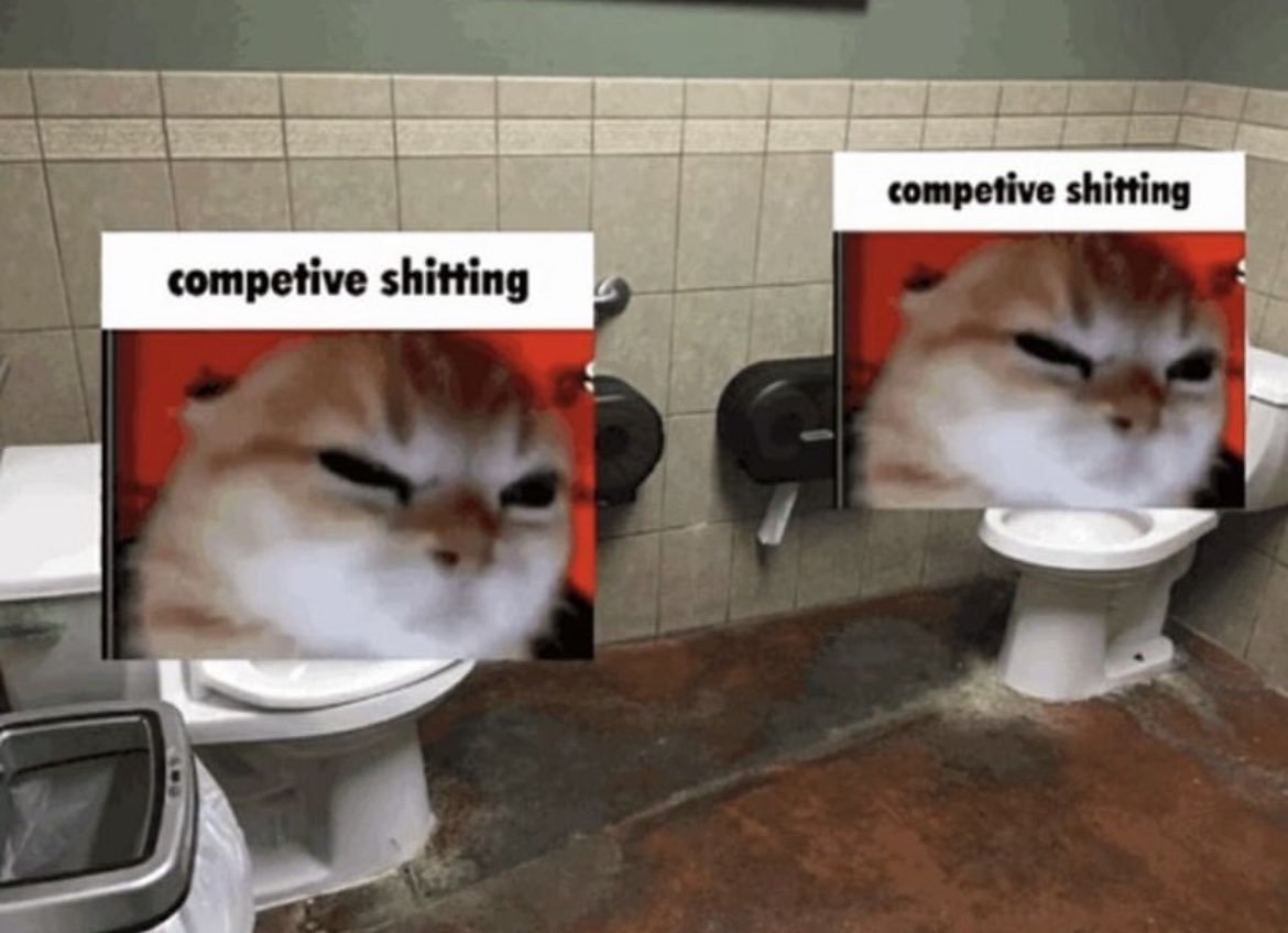 我的一生致力于收集有史以来最棒的随机猫猫 