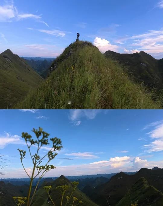 广西徒步路线❗️Nano可以第一人称看的山⛰️
📍位置：天等光明顶
⛰️公里：