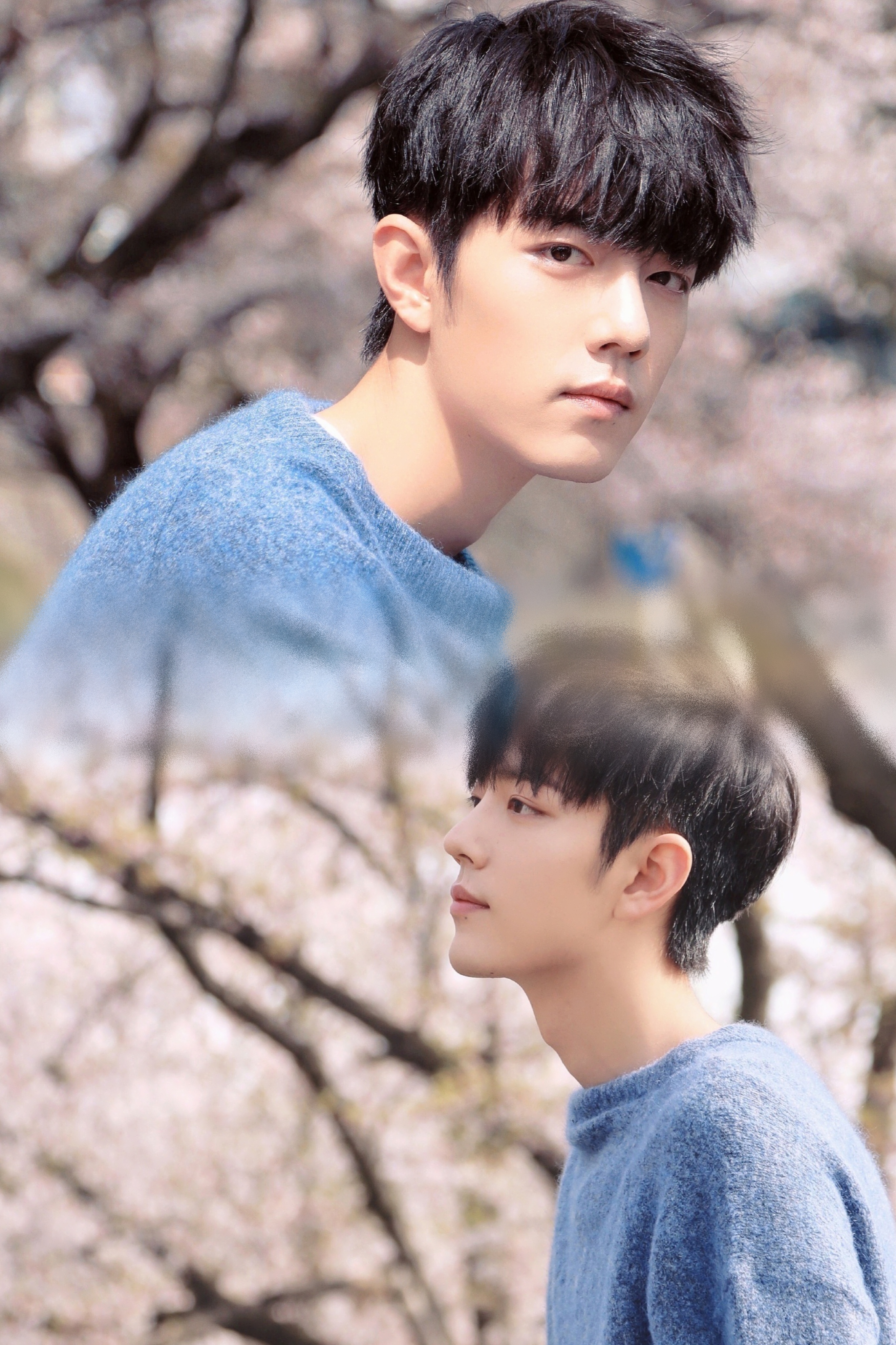 青春最动人的印记，就是那份藏不住的少年爱意，           它不管不顾地从