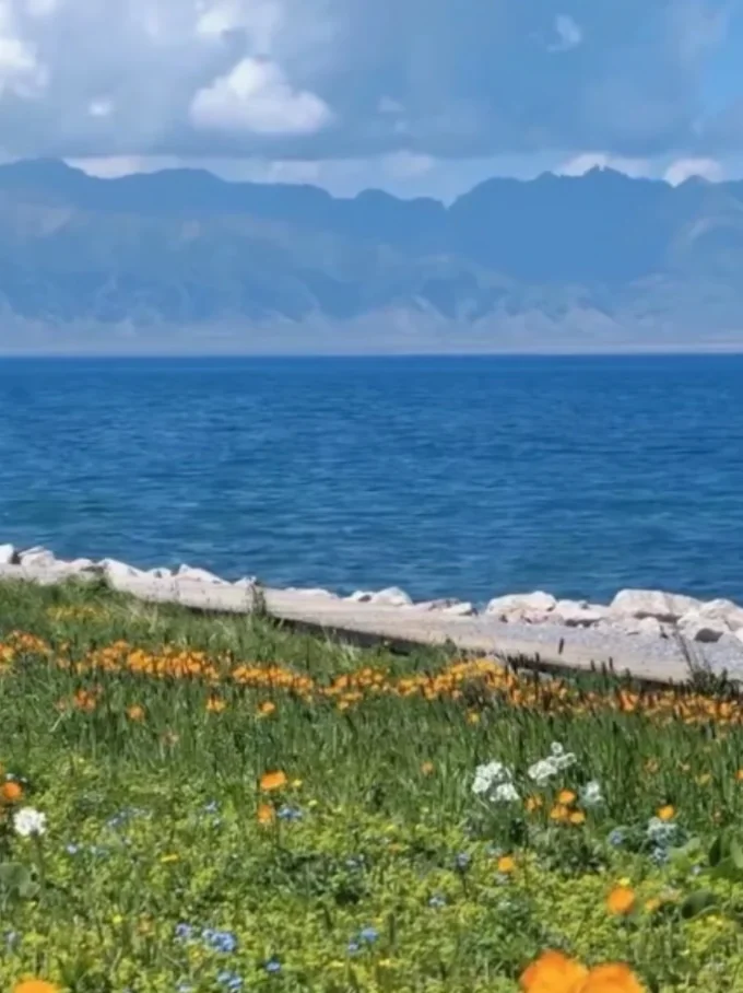 听，花海在风中作响🌊