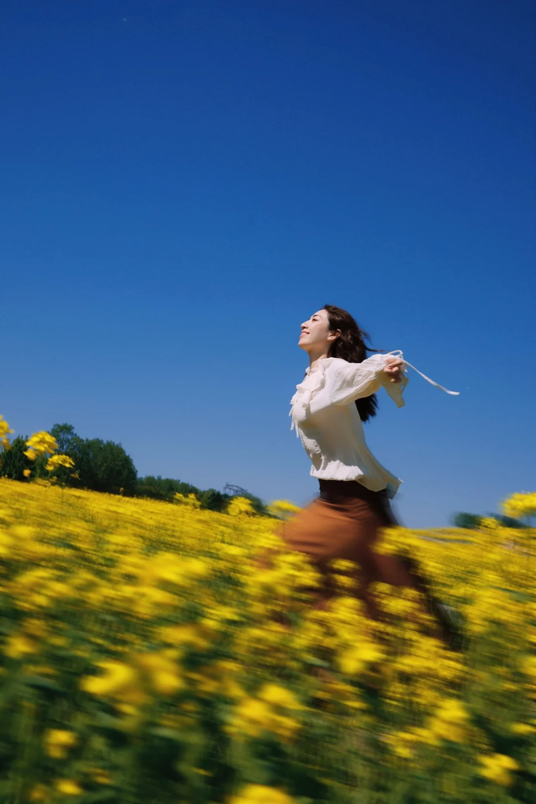 冲进夏天里里🌼温榆河油菜花金黄太好拍