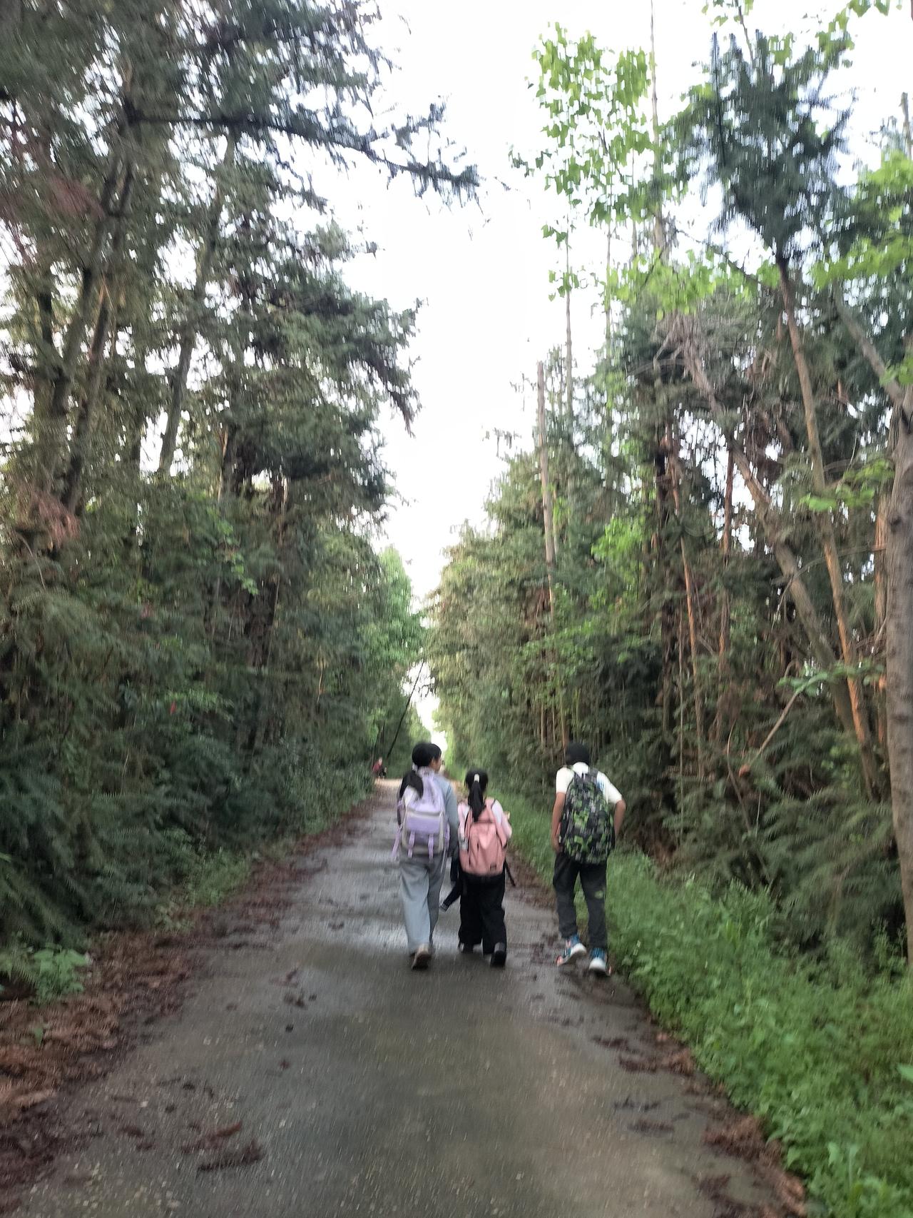 深深的同学情，每天他们三个人都是一起放学，然后一起去我租房玩半个小时，再各回各家