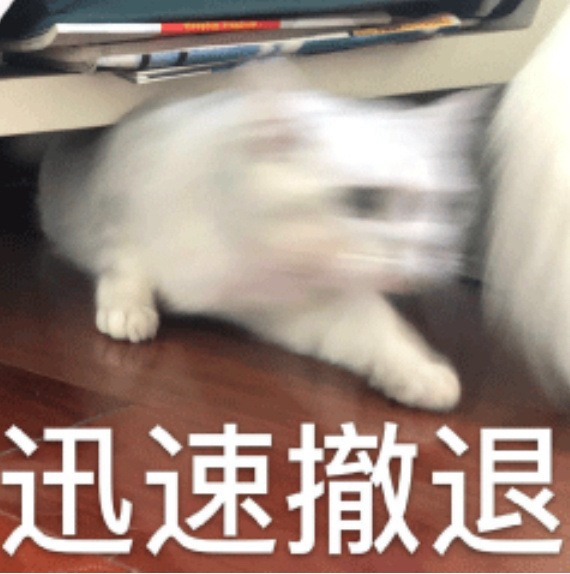 买完晒完迅速撤退！离这个厕妹窝远一点[二哈] ​​​
