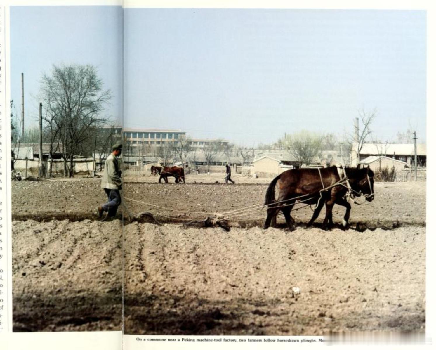 1978年北京春耕 