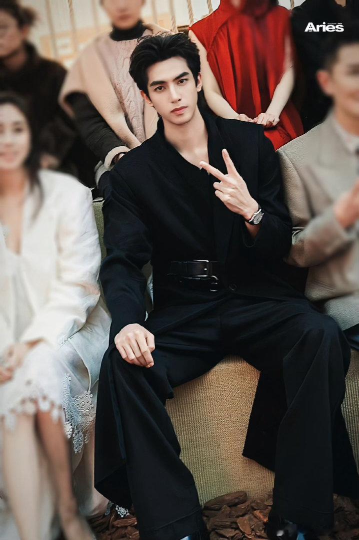 宋威龙宋威龙陈异 swl宋威龙野狗骨头 ai都弄不出这么帅的 