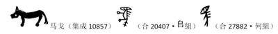 字的演变过程。
象形字本就稀少，却是汉字根基。“马”字从商代写实图画，经甲骨文不