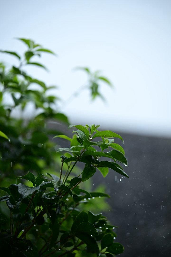 『此刻』秋雨时至。摄影宝藏摄影博主推荐计划