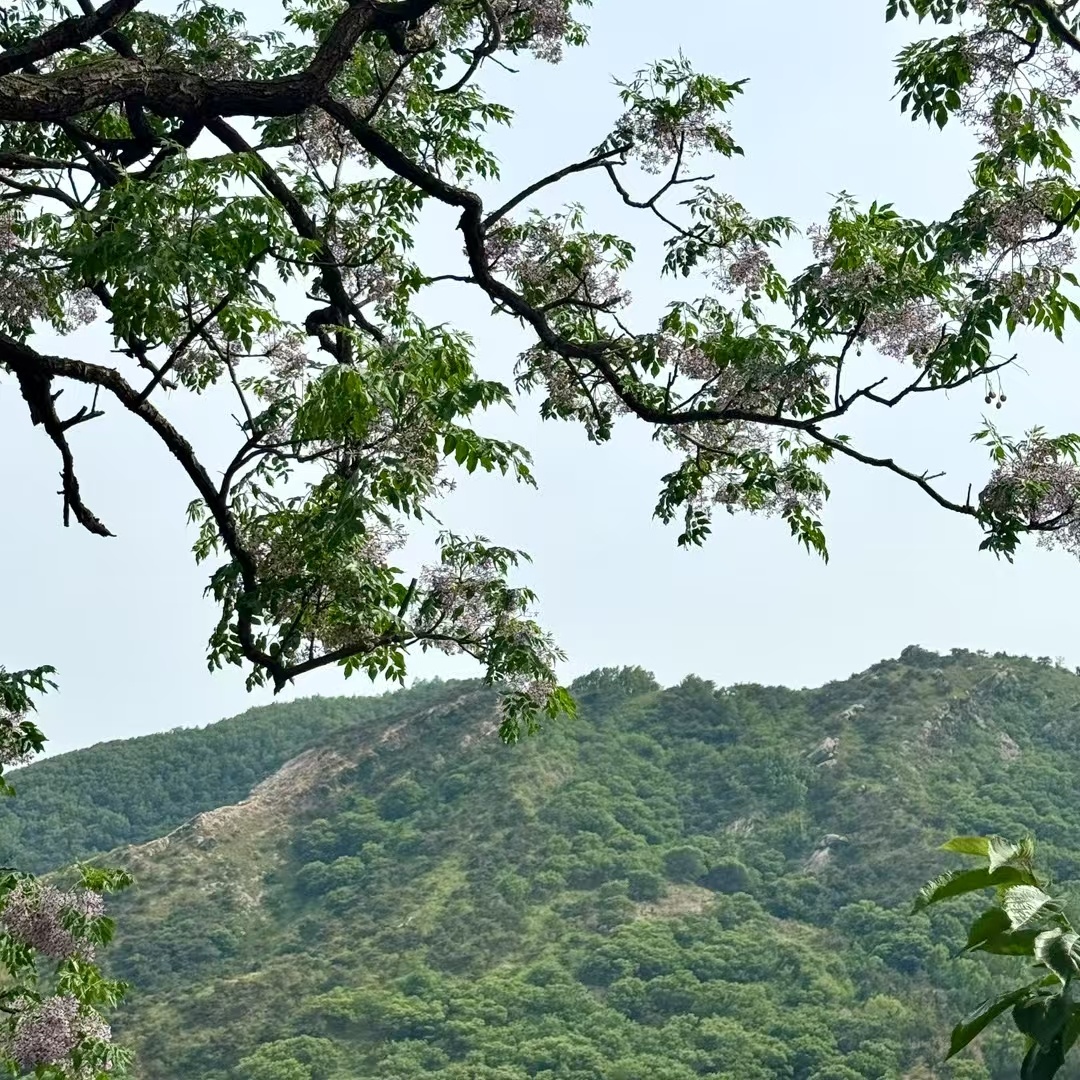 有个波什定律是这么说的，如果有人知道了自己什么地方做的很好，就会去努力把这方面做
