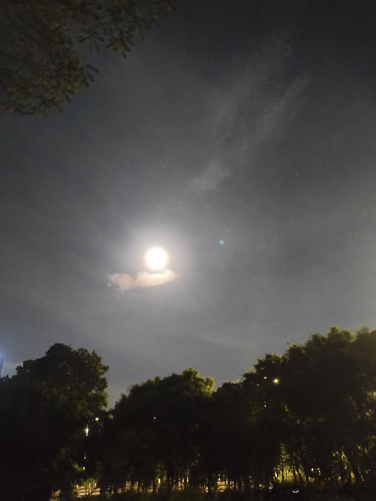 南方的月亮很有特色，明亮而朦胧，特别有意境，像极了有心事重重的你我。