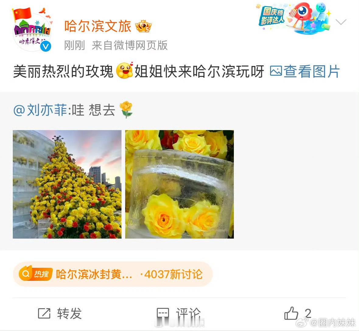 哈尔滨文旅回复刘亦菲了～[哈哈]哈尔滨文旅速度够快，刘亦菲发博表示想去看冰封玫瑰