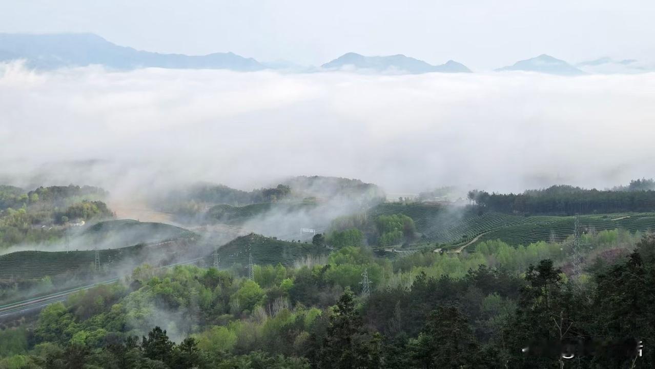 所谓见死不救，人不同阶段的认知都是不同的，你救不救，对于他来说都是客观，他的主观