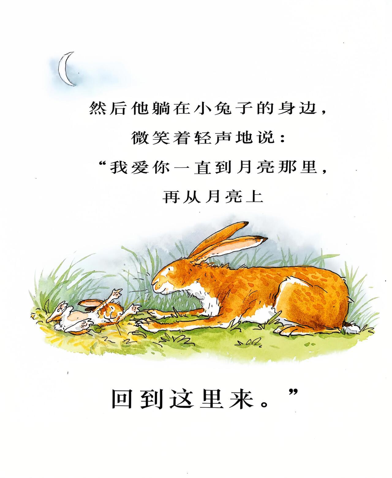 今天老乱在ins上的文案来自儿童绘本 山姆·麦克布雷尼的《猜猜我有多爱你》这句话