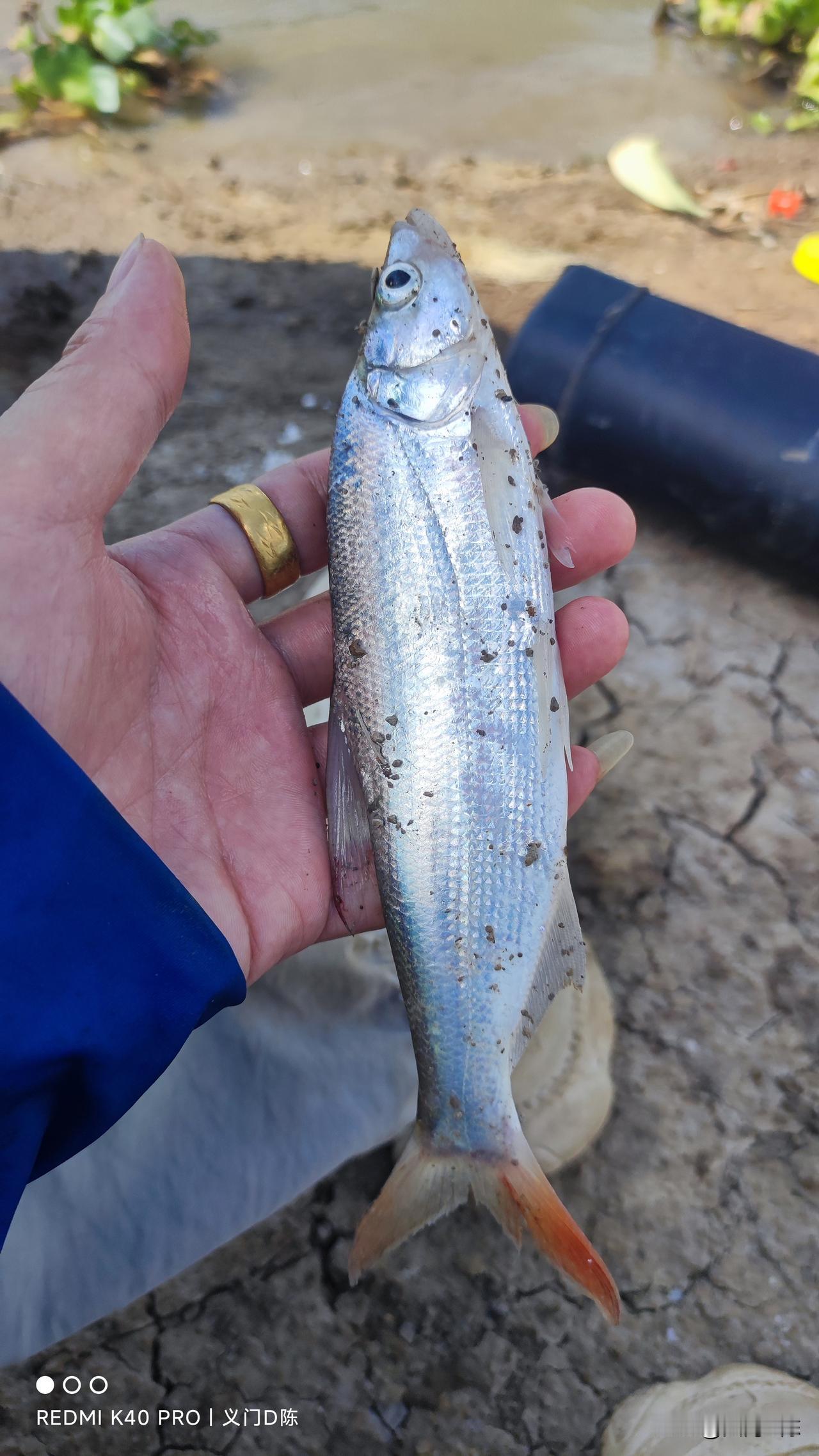 其实野钓很多时候稍微做个改变就能钓到鱼，有些钓友嘴上说就是想晒个太阳，鱼不重要，