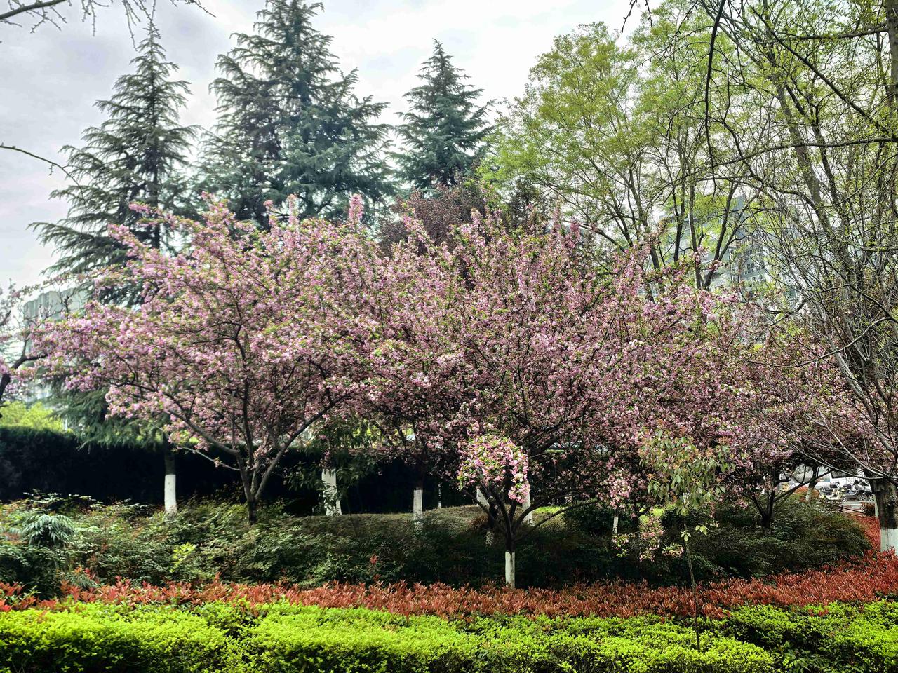 我的今日状态：😁轻松愉快
我这里的天气：🌤️多云