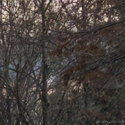 下决心要做的事，要保持不动声色，却满心澎湃，要保持稳定扎实，却目光炯炯，在顺利时