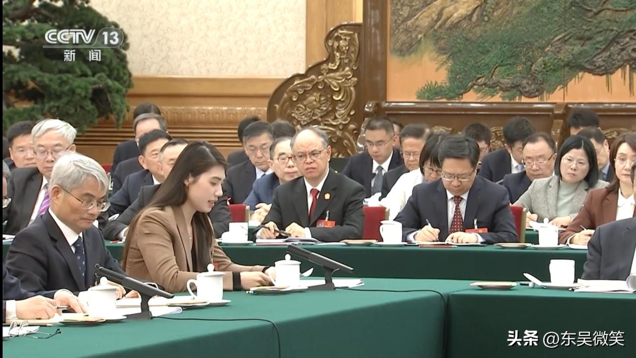 张雨菲作为江苏代表团的6位代表之一，做了审议政府工作报告的心得，向长官做了汇报。